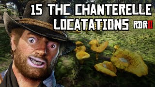 15 Rdr2 Chanterelle Location Spots  THC CHANTERELLES [upl. by Stedman574]