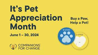 June is Pet Appreciation Month [upl. by Ancier520]