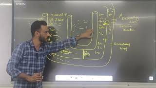 excretory products and their elimination part 3 NCERT biology class 11th [upl. by Nudd227]