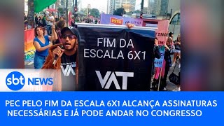 PEC pelo fim da escala 6x1 alcança assinaturas necessárias e já pode andar no Congresso  SBT News [upl. by Adnarem740]