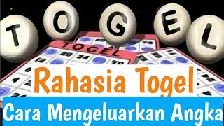 RAHASIA BANDAR MENGELUARKAN HASIL TOGEL [upl. by Falo]