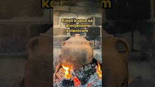 🔥KISELI KUPUS SA DIMLJENOM KOLENICOM🔥 [upl. by Ahsetra69]