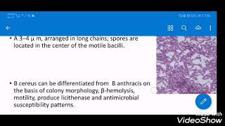 SPORE FORMING BACTERIA by 7ALA RAED  micro GI system [upl. by Tench]