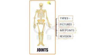 ANATOMY  Osteology  Joints 1 [upl. by Lotsirhc287]