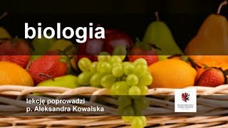 Biologia Napoje energetyczne  dlaczego są nieodpowiednie dla dzieci i młodzieży [upl. by Hylan]