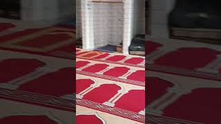 al masjid youtubeshorts bazmemasarrat love [upl. by Nnave563]