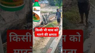 ख़तरनाक herbicide सावधानी से करें उपयोग [upl. by Laban]