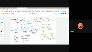 A level  Monoclonal antibodies and hybridomas  A quick revision [upl. by Jessamyn]