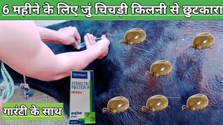 Use Veterinary injection HITEK IVERMECTIN INJECTION  गाय भैंस का जुं चिचड़ी किलनी खत्म करें तुरंत [upl. by Nivrem638]