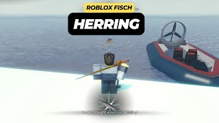 How to Get Herring Fish in Roblox Fisch [upl. by Ettolrahc]