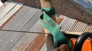 Strap belt hand rigging Teak tree pruning leaning to the roof [upl. by Garcia351]