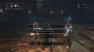 Bloodborne Chalice Bloodletting Beast with npc summons [upl. by Lamarre]