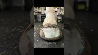 This is how I completely restored a hoof that had a severe case of seedy toe [upl. by Tima44]