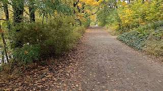 Beautiful Berlin volkspark Rehberge [upl. by Naud]