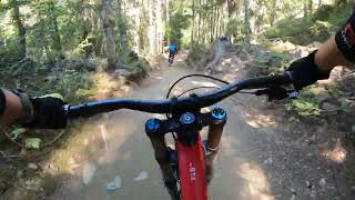 Whistler Bike Park  BLine upper [upl. by Naval683]