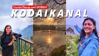 Kodaikanal Solo Trip  Kodaikanal Tourist Places and Beyond  2 Day Itinerary  TamilNadu Tourism [upl. by Wilda831]