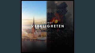 Verkligheten [upl. by Miksen]