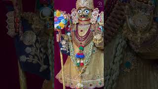 Vadtal Mandir darshan viralvideo viralshort vadtaldham vadtal harikrishnamaharaj [upl. by Esilahc]