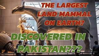 The largest land mammal  Baluchitherium  Infotube by Gogloo [upl. by Ifen]