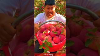 বাগানের আপেল🍎 Orchard apples shorts fruitsking viralvideo trending apple [upl. by Lajib]