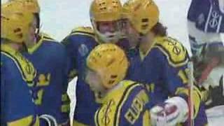 HockeyVM 1989  Det bästa från Tre Kronor [upl. by Isidore858]