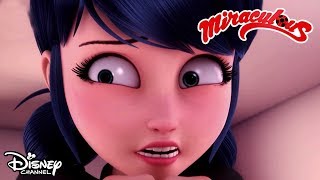 Got the Scoop 🍦 Miraculous  Official Disney Channel Africa [upl. by Zwick924]