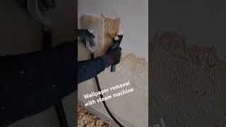 Wallpaper removal with steam machine in a house renovation project in London in i UK [upl. by Hedvah]