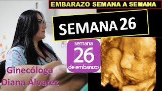 SEMANA 26 EMBARAZO SEMANA A SEMANA POR GINECOLOGA DIANA ALVAREZ [upl. by Enilkcaj]