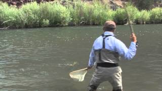 Dry Fly Fishing on a Cuthroat Leader [upl. by Gnemgnok584]