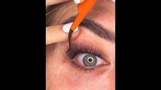 How To Apply DIY False Eyelash Extensions For Beginners Let’s do this [upl. by Cullen]