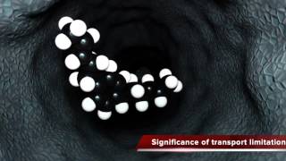 Explanation of Catalytic Cracking through Zeolites [upl. by Nosro]