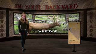 Jarbidge  In Your Backyard [upl. by Santana]