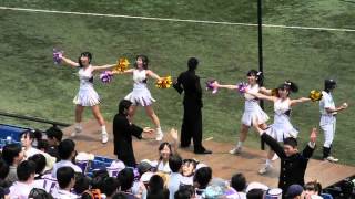 2012六大学春季リーグ 立教応援 ① [upl. by Enigroeg255]