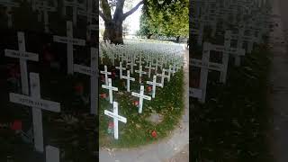 Ready for armistice day in Christchurch New Zealand 2024 armisticeday christchurch nz rip ww1 [upl. by Akeinahs268]