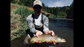 Catching monster South Dakota brown trout [upl. by Inigo172]