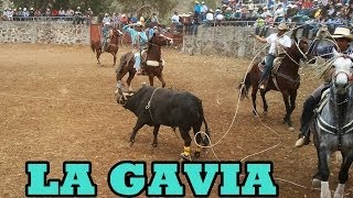 Jaripeo en la Gavia Mayo032014 [upl. by Magdau]