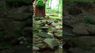 Beautiful and Serene Backyard Ideas and Water Features Compilation [upl. by Azeria960]