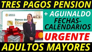 💥NO LO VAN A CREER❗️ TRES PAGOS DE PENSIÓN EN NOVIEMBRE CON AGUINALDO INCLUIDO ¡Entérate [upl. by Niela115]