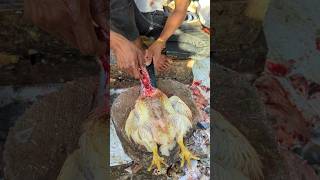 Professional Boy Amazing Chicken Cutting Skills  Most Creative Cutting Style 😱 shorts [upl. by Yenaffit872]