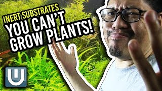 Growing Aquarium Plants with Inert Substrate [upl. by Aynekal]