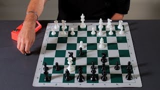 How to Achieve Checkmate in 4 Moves  Chess [upl. by Enogitna]