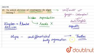 To which division of cryptogams do algae belong [upl. by Yart901]