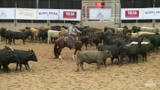 Cattalou  2014 Breeders Invitational Open Finals [upl. by Bonacci382]