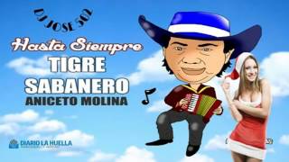 Aniceto Molina Mix 2017 Cumbias De Mi Pueblo [upl. by Aarika]