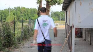 VIDEO 1 ITA [upl. by Rempe]