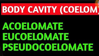 COELOM  BODY CAVITY [upl. by Eenoj]