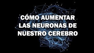 Cómo Aumentar La Producción De Neuronas De Nuestro Cerebro [upl. by Bricker]