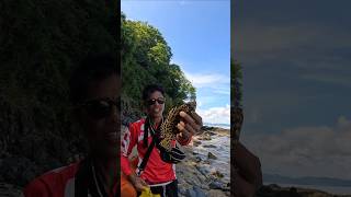 A veteran Angler catching groupers  fishing fishinglife grouperfish [upl. by Ahsekal]