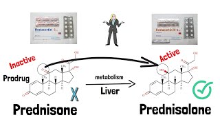 Prednisone VS Prednisolone  الفرق بين Hostacortin و Hostacortin H [upl. by Aneleve]