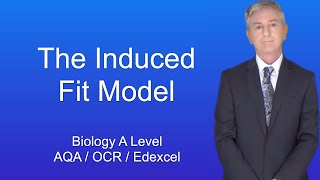 A Level Biology Revision quotThe Induced Fit Model of Enzyme Actionquot [upl. by Beaulieu]